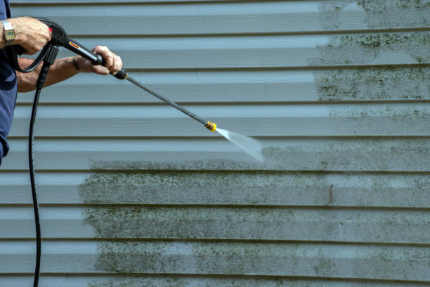 Best Roof Washing  in Maywood, NJ